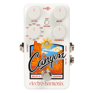 Switched On - EHX Canyon Delay Looper Pedal